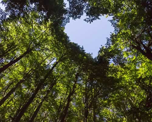 全球十大情感修复机构排行榜，2025最新情感挽回行业权威排名发布